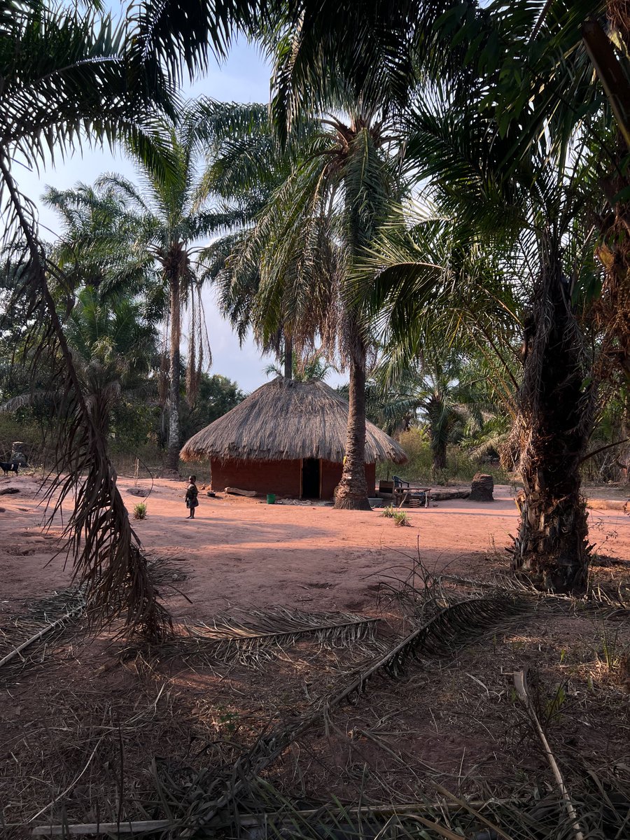 Lubyai. Kabongo, Haut Lomami.