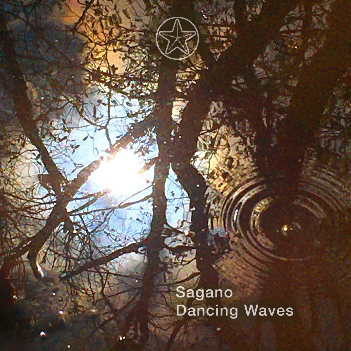 released by salon blanc:

SAGANO &amp; MIKKELE - DANCING WAVES

Listen now:
open.spotify.com/album/74oofIxI…

@salonblanc_

· · ·

#ambient #ambientmusic #piano #neoclassic #spotify #salonblanc #metricsystem1981 #release