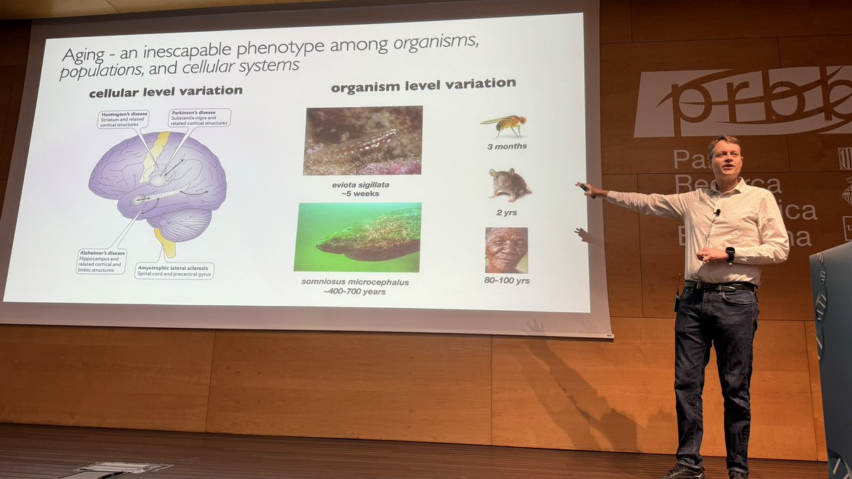 First talk of the last session of the meeting, on “Evolution of aging”, by Peter Sudmant (<a href="/psudmant/">Peter Sudmant</a>) from <a href="/UCBerkeley/">UC Berkeley</a> on global diversity, recurrent evolution, and recent selection on amylase structural haplotypes in humans (and many other cool stories 😉).