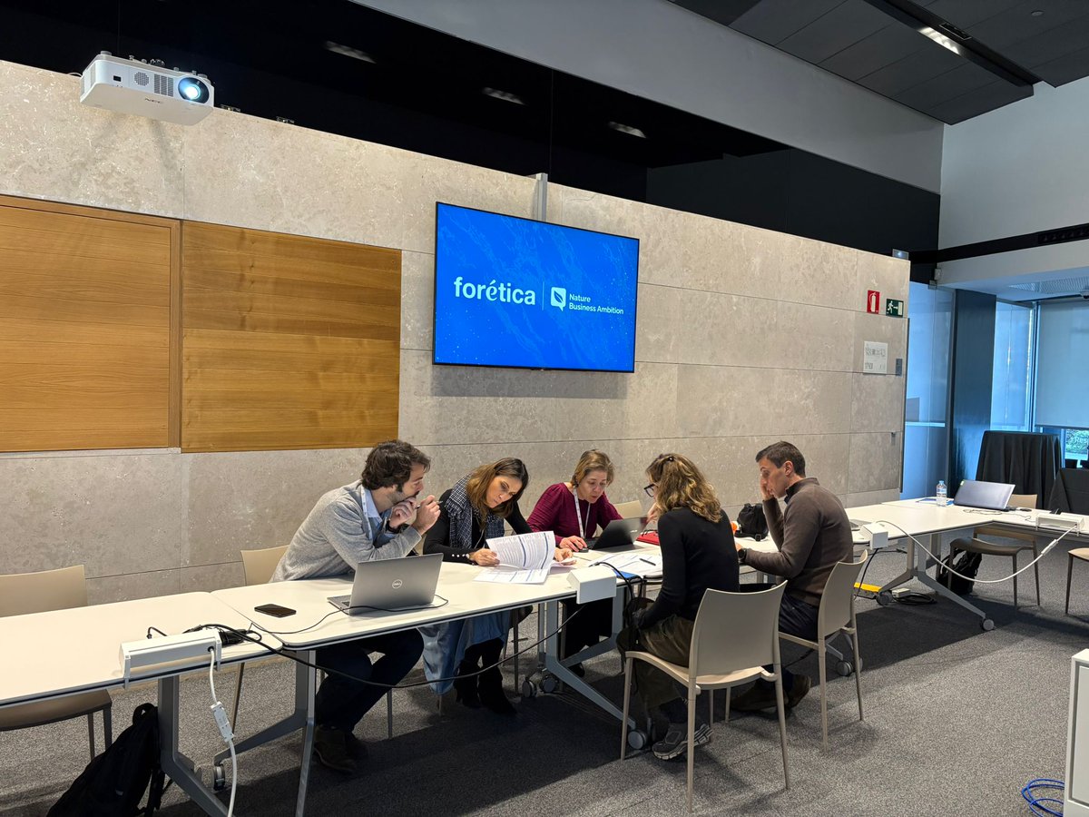 🌳 Hemos celebrado la segunda reunión privada de la iniciativa #NatureBusinessAmbition, en la que hemos profundizado aún más en cómo desarrollar estrategias de #naturaleza sólidas. 

👥 Mediante una dinámica de grupo, las organizaciones que forman parte de la iniciativa han