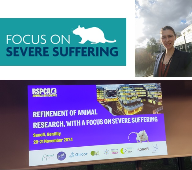 I am just back from Paris this morning after an amazing 1 1/2 days talking about the 3R on the RSPCA initiative "Focus on Severe Suffering".  I am thankful for the opportunity to have shared my work on refining husbandry of rats with cranial implants in neurosurgery.