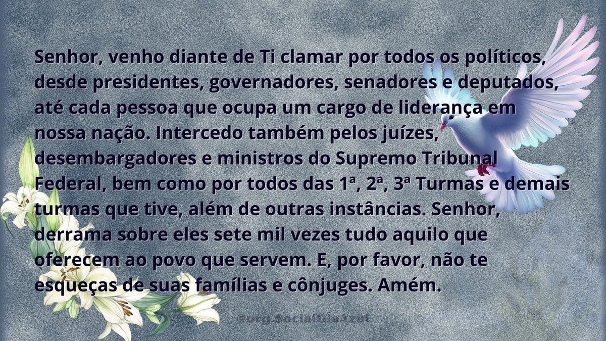 OrgSocialDiazul's tweet image. 