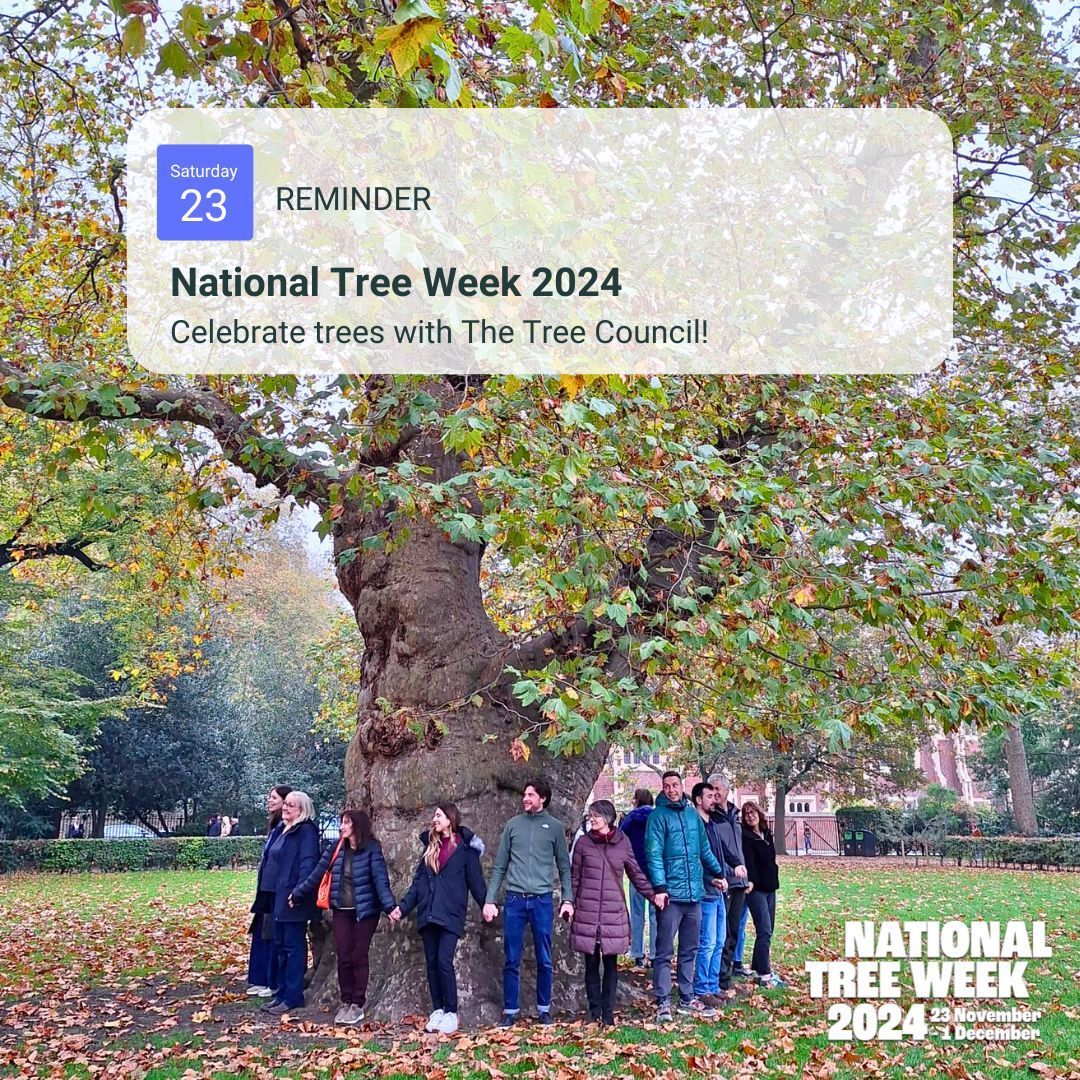 This is your reminder that #NationalTreeWeek starts tomorrow! 💚 

This week brings together the conservation sector, volunteers and tree-lovers to mark the start of the annual tree planting season. 🌳 

Get ready for a tree-filled celebration week! 🎉