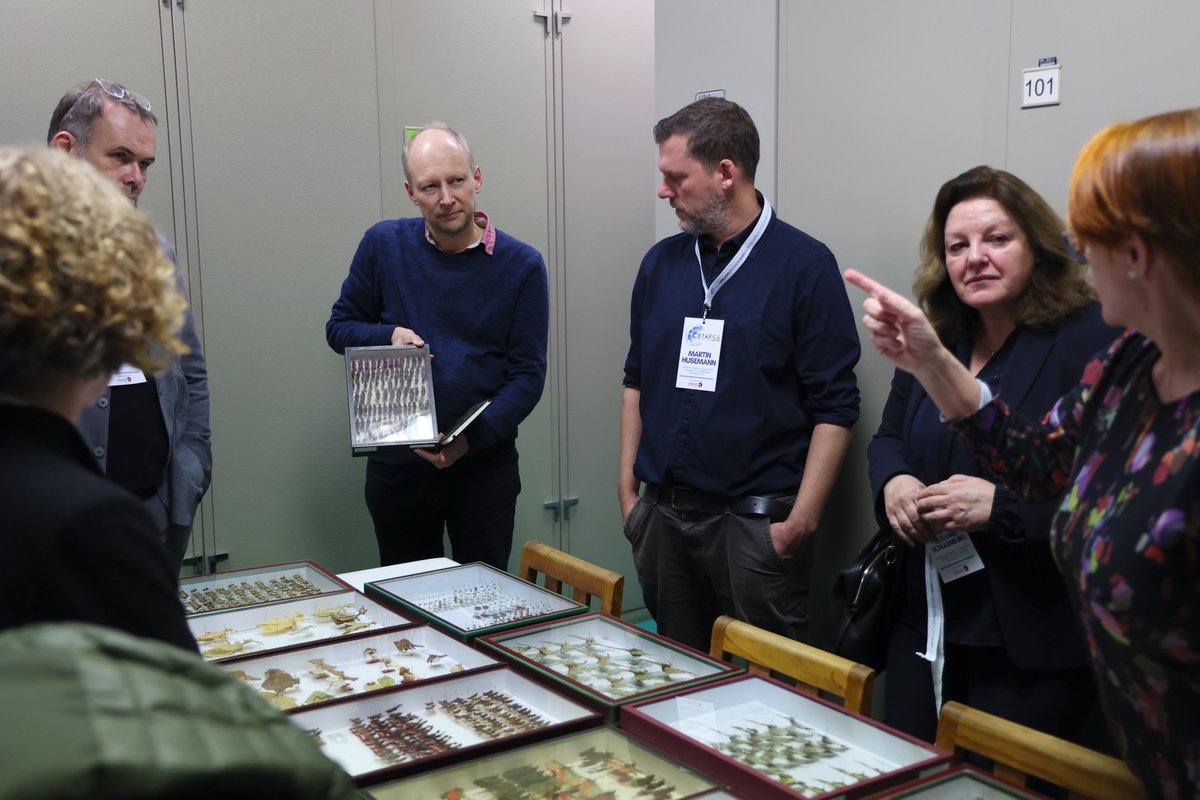 INC-STEP (@incstep_eu) on Twitter photo Last Wednesday, a visit to the Entomology Collection took place at <a href="/mncn_csic/">Museo Nacional de Ciencias Naturales</a> by the directors of several institutions, on the occasion of the #CETAF56.
<a href="/RobWilsonMNCN/">Rob Wilson</a> and M. París were there, guiding the representatives and disseminating our work.
#NameItToSaveIt #INCSTEP🏛️✊ Last Wednesday, a visit to the Entomology Collection took place at <a href="/mncn_csic/">Museo Nacional de Ciencias Naturales</a> by the directors of several institutions, on the occasion of the #CETAF56.
<a href="/RobWilsonMNCN/">Rob Wilson</a> and M. París were there, guiding the representatives and disseminating our work.
#NameItToSaveIt #INCSTEP🏛️✊