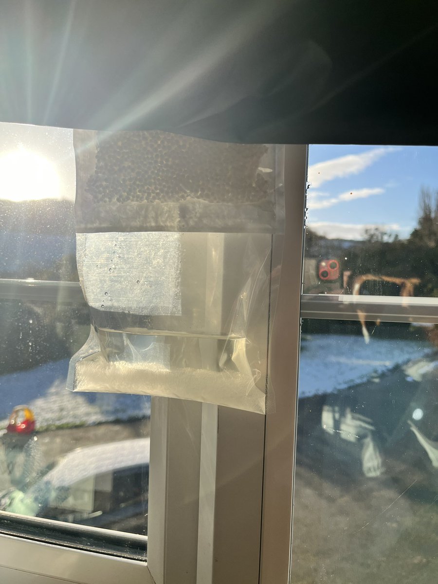 I put up some dehumidifiers in the Rectory, as it’s been cold and damp in here. This one froze…