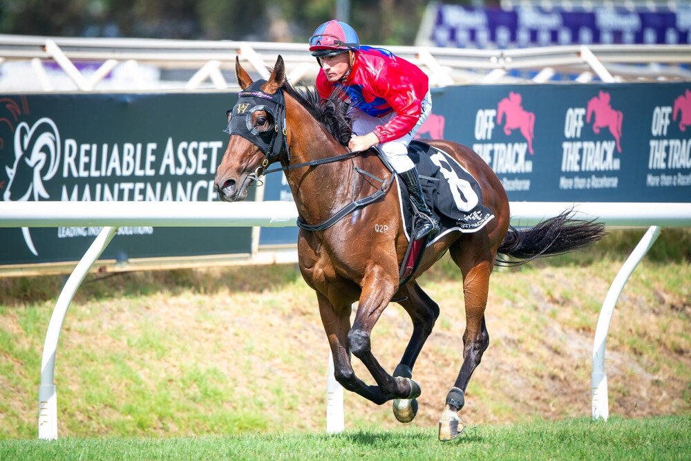 Perth Racing tweet media