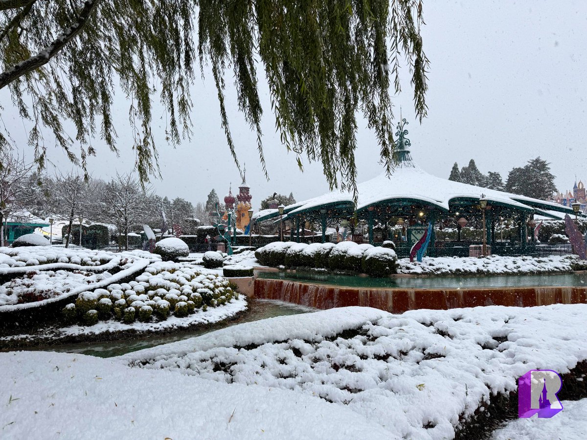 DLP Report tweet media