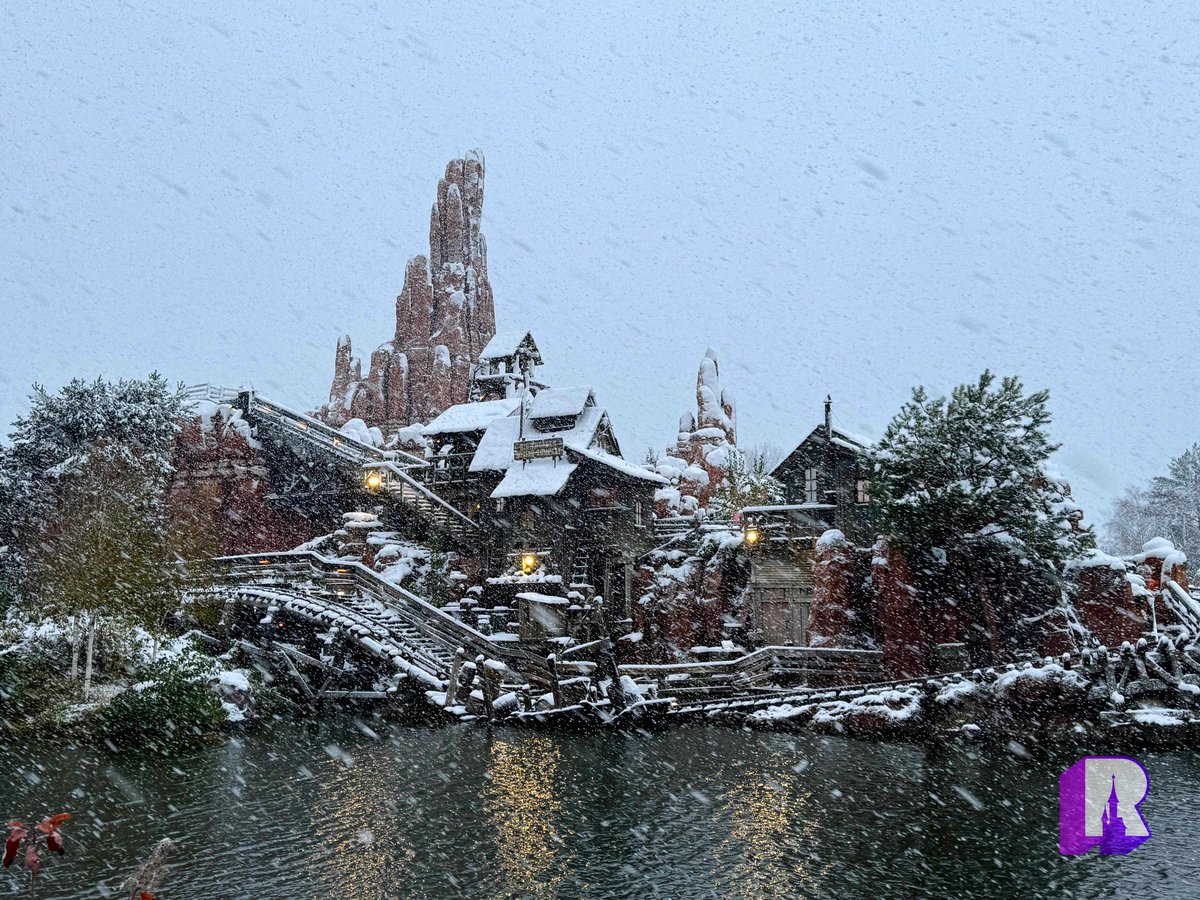 DLP Report tweet media