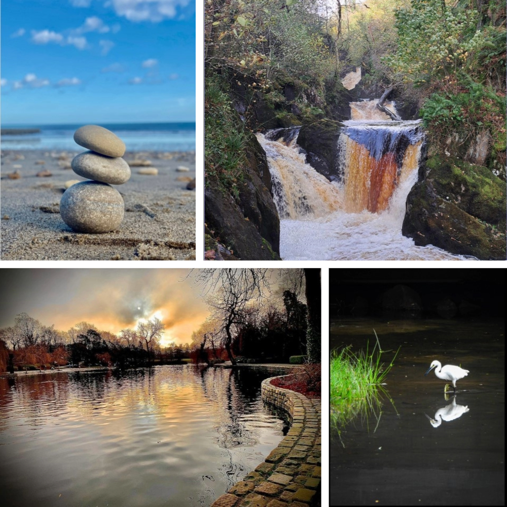 TeesStudentLife's tweet image. Big thanks to everyone who entered our #GreenLibrary Photography &amp;amp; Creative Writing Competition 📸🖊️There are some fabulous compositions that can be viewed in the Library Exhibition Space &amp;amp; here   libguides.tees.ac.uk/greenlibraries… 
@TeessideUni
