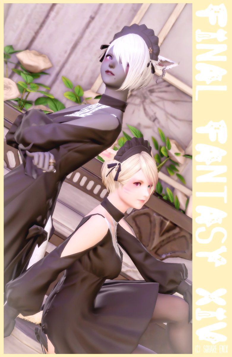 dqx_pochi's tweet photo. おぁよฅ/ᐠ｡ ̮｡ᐟ\ฅ

リーンちゃんのワンピース染めれるようになったの神だよね！
異色肌に銀髪って映えるよねー
白基調のスタジオ素敵だった✨

🏷 #Blanchir
#FF14 #おはミコ #ミコッテ https://t.co/7HuBqfiSEV