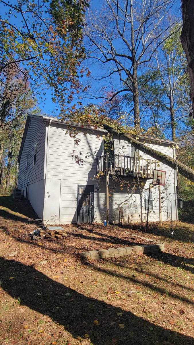 CHEERY💀 tweet media