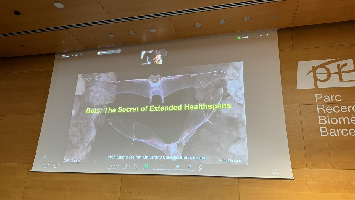 Next talk on the “Evolution of aging” session by Emma Teeling (<a href="/EmmaTeeling1/">Emma Teeling</a>) from <a href="/ucddublin/">University College Dublin</a> answering how do bats limit expected ageing and disease.