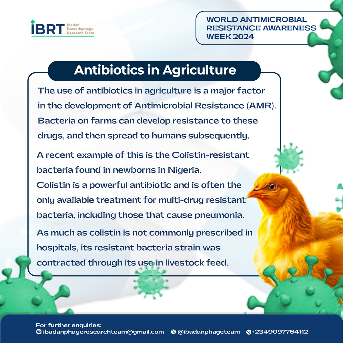 World Antimicrobial Resistance Awareness Week '24

#WorldAMRWeek2024
#WAAW24
#EducateAdvocateActnow
#IBRTWAAW24