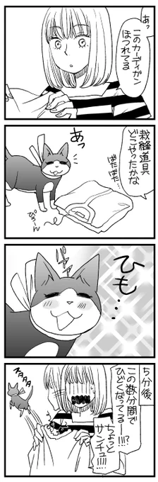 #いい夫婦の日
鎌倉手帖の4コマ出てきたから貼っておきます! 