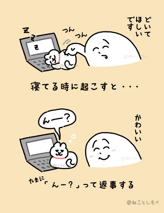 返事するねこ 