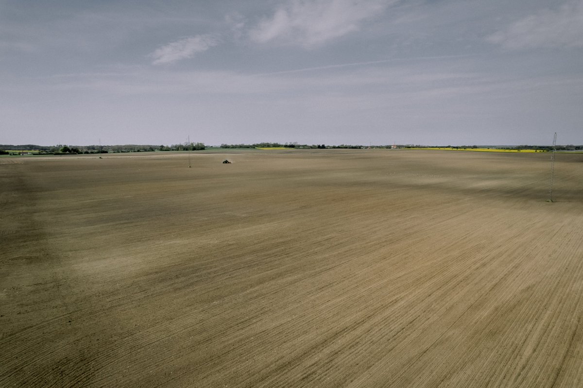 Asger Ladefoged tweet media