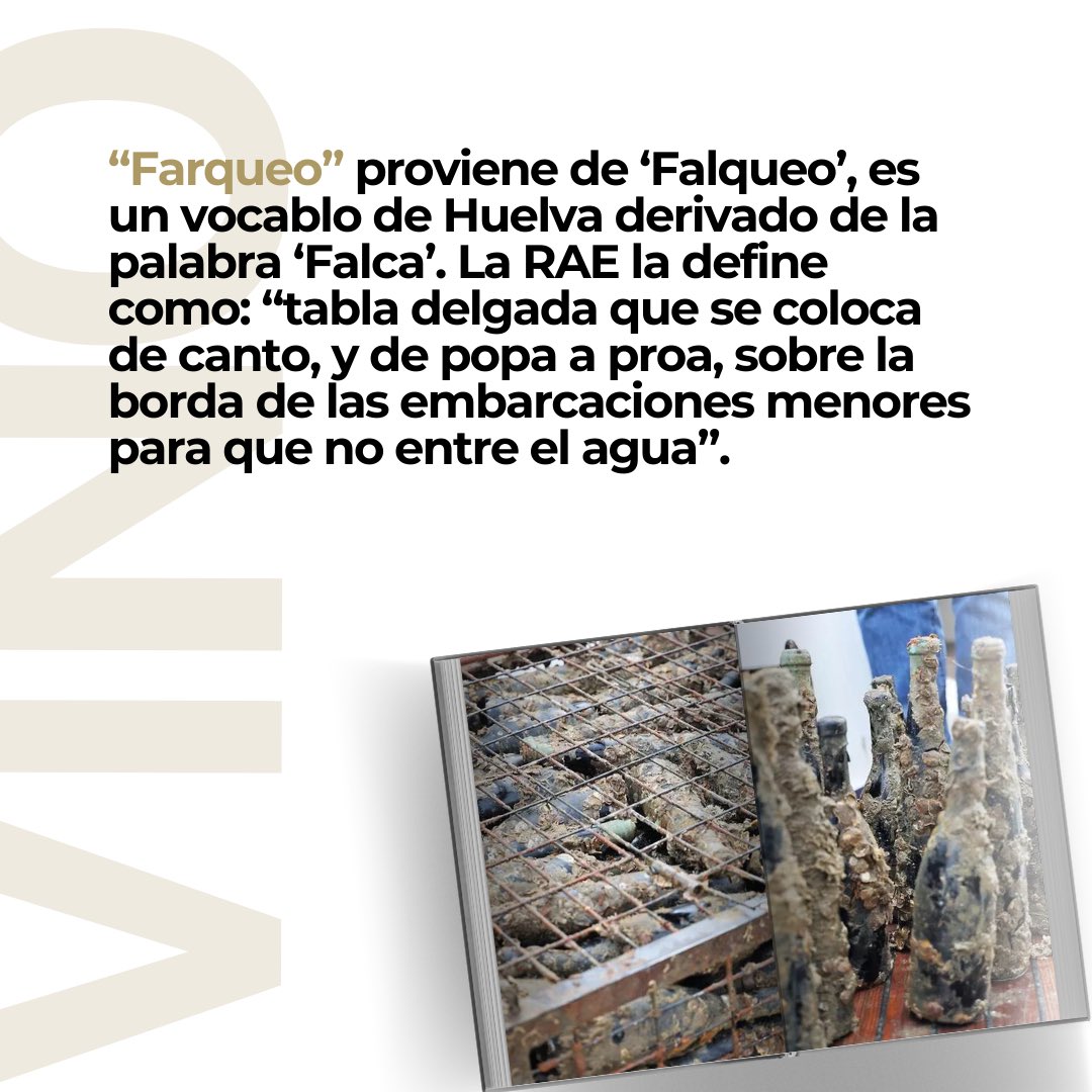 Bodegas MAM tweet media
