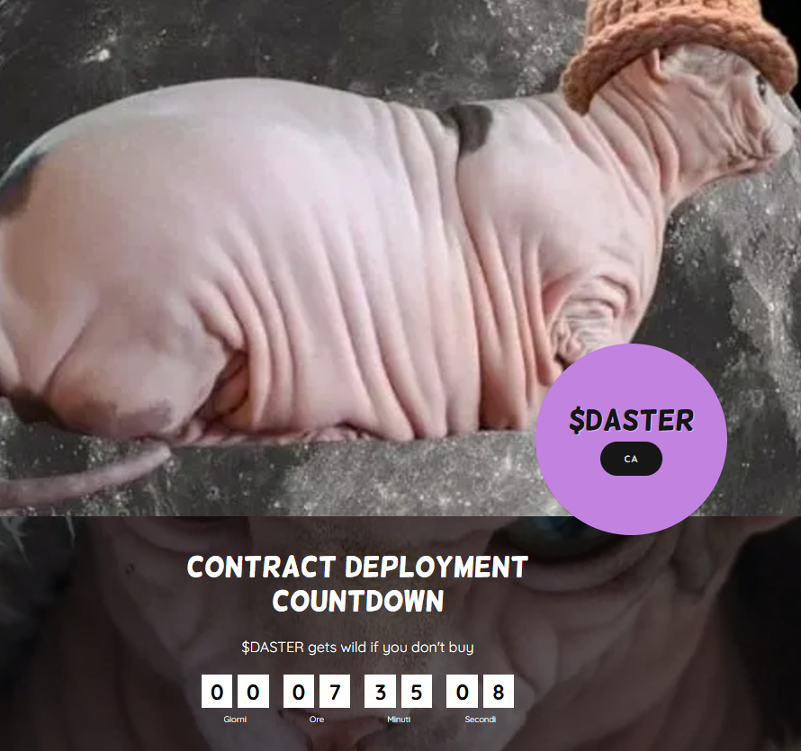 FatSphynxWifHat's tweet photo. The countdown started in our website. $DASTER in our hearts, and in our wallets soon. https://t.co/xabUm8ZcHW