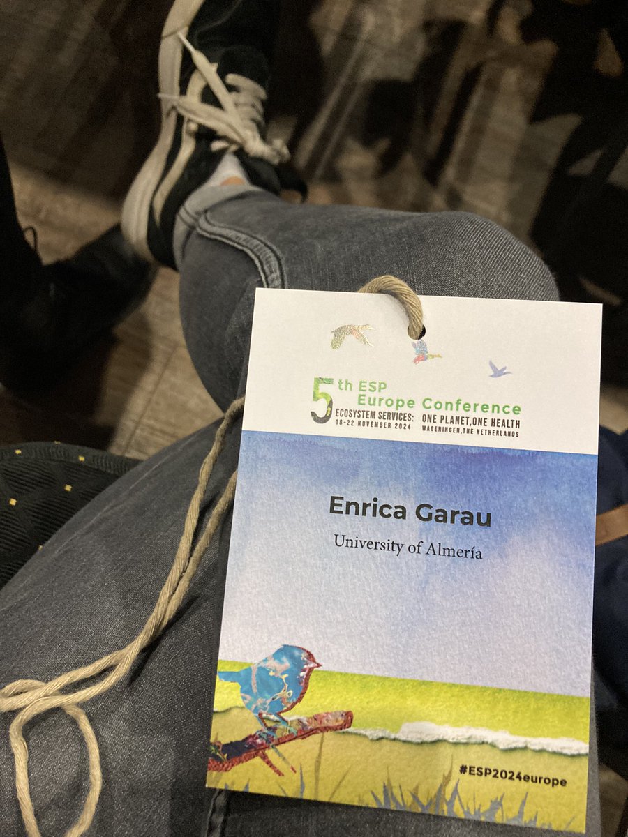 Enri_Garau tweet media