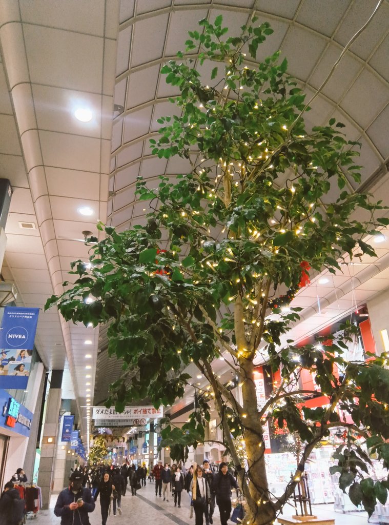 仙台四郎サンタのクリスロード商店街
今年も幸せを呼ぶピンク色の電球が一つだけあるそうですっ
イルミネーションの電球はおよそ1万個
見つけられた方はまさにラッキーかも
（門田）
#仙台四郎
#クリスマスイルミネーション
#クリスロード商店街