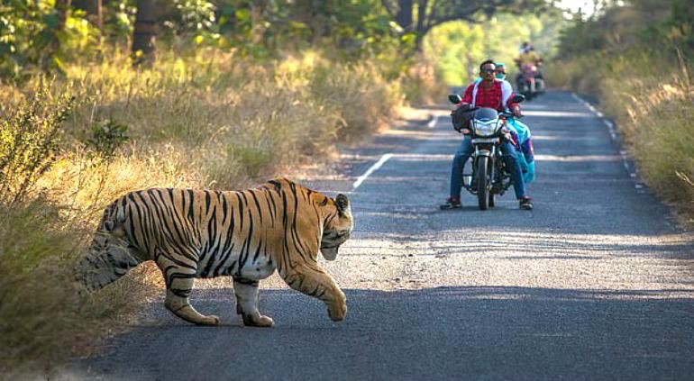 joan real tweet media