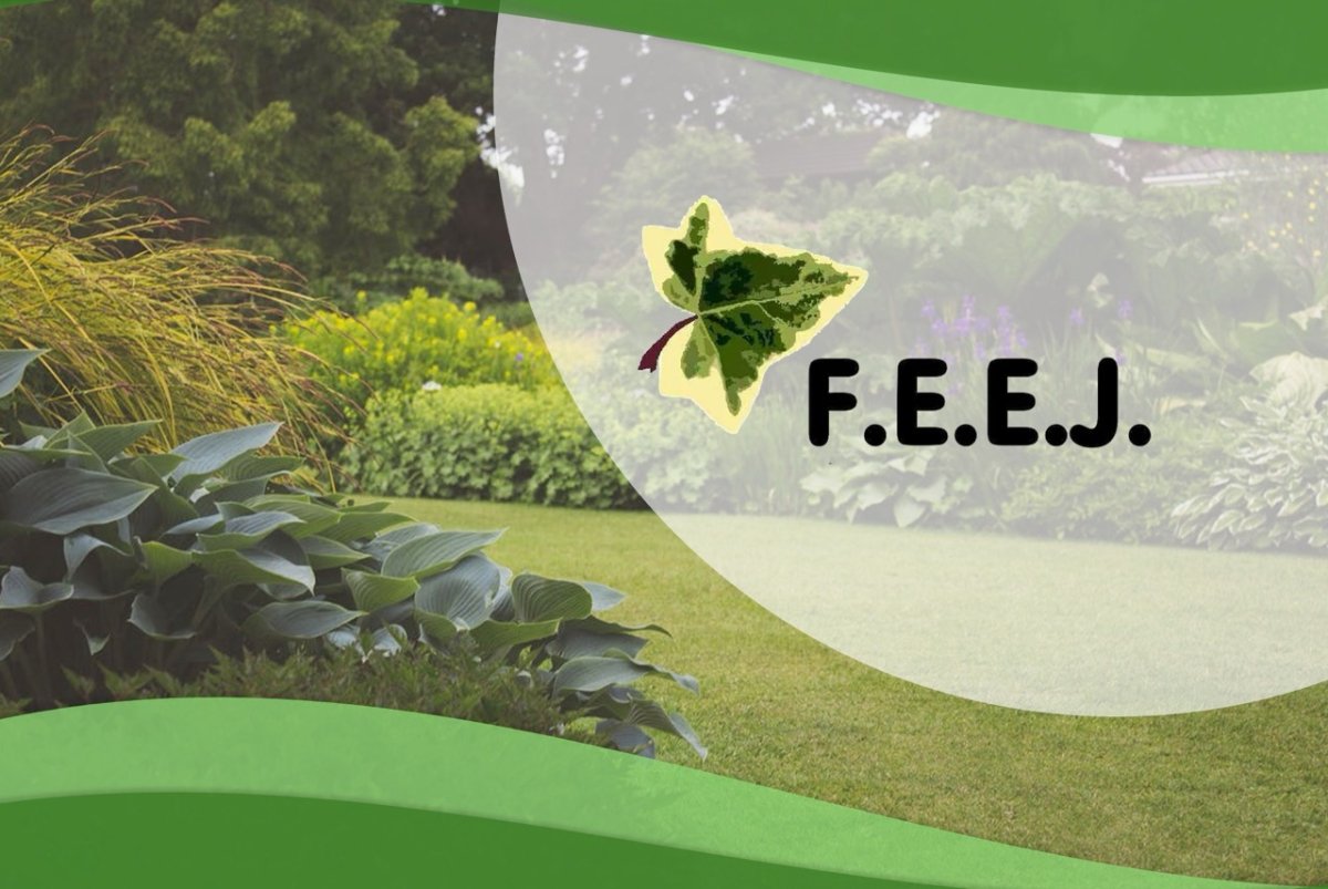 En la Federación de Empresas de Jardinería (FEEJ), cada acción que emprendemos está fundamentada en los valores que nos definen: compromiso, sostenibilidad, profesionalidad y cercanía.
feej.es/nuestros-valor…