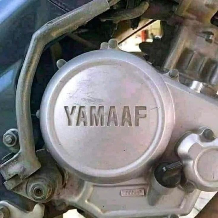 binhyun1317's tweet image. 