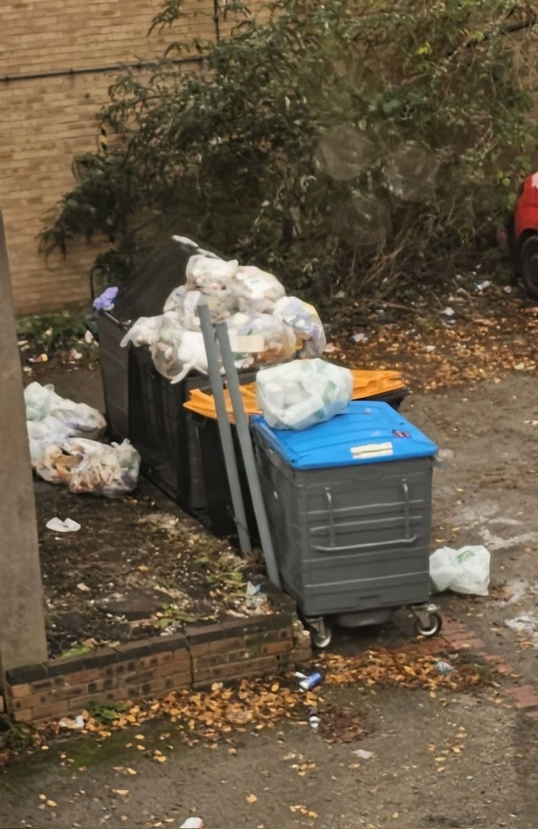 sam_j_watts's tweet photo. 1 Week &amp; 1 day of the new @StarbucksUK and this is the mess the neighbours are having to deal with. There's a storm coming tomorrow I hope the staff are ready to clean up the outside. Also if this the outside imagine what inside is like. https://t.co/UElqo13wqv