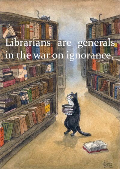 Newy Traveller tweet media