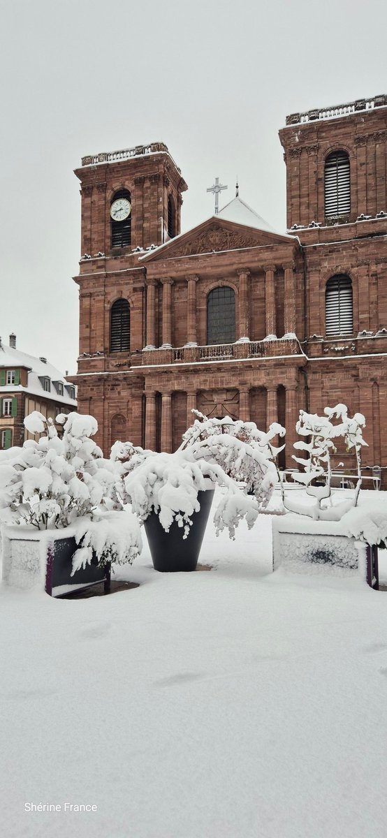 SherineFrance's tweet photo. #Belfort #Neige #Franche_Comté https://t.co/QRtZFzOcCT