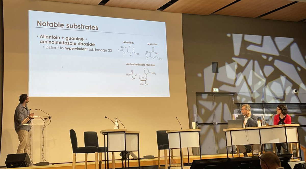 guido werner tweet media