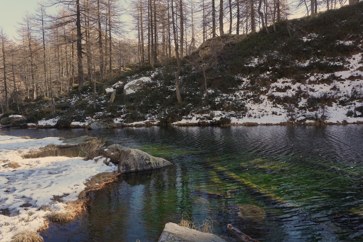 Saliinvetta's tweet photo. Il Lago delle Streghe è L'Alpe Devero 💙🌲❄️
Meravigliose immagini di Domenica.
👉 Qui trovate tutti i dettagli :
https://t.co/CI0ObPd5Ye
#alpedevero #devero #piemonte #montagna #alpinismo https://t.co/8HS0CGH8pd