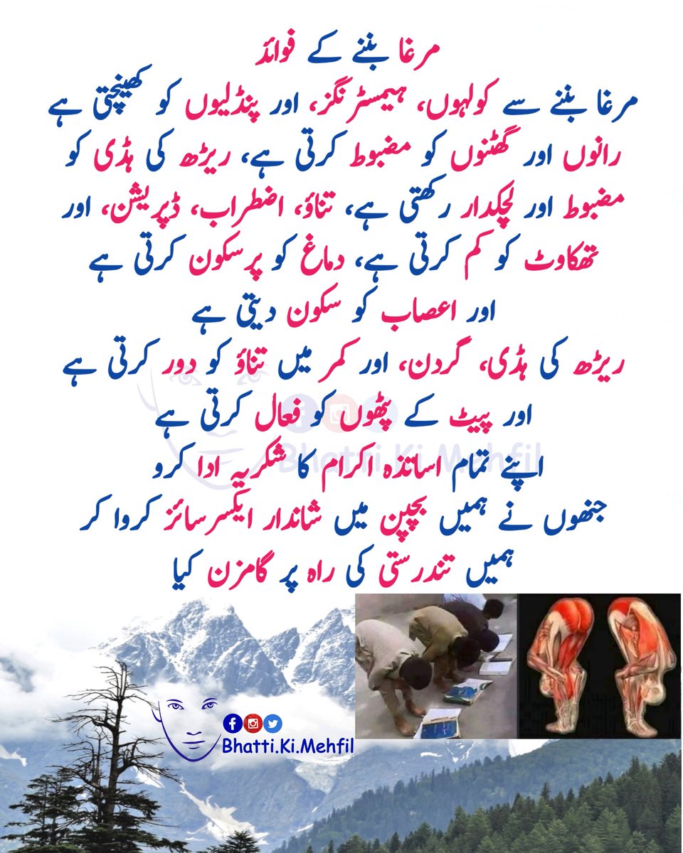 majidbhattipsm's tweet photo. واٹس ایپ چینل
https://t.co/nUxPIAFtbL
#bhattikimehfil #murgha #hamstrings #excercise #workout #students #teachersday #teacher #study #Backbone https://t.co/u7TfyzTFZt