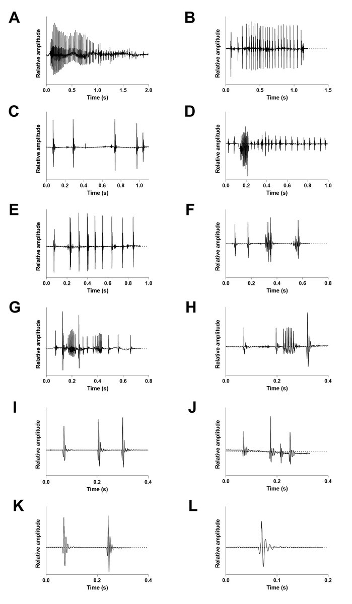 Against the odds: versatility in sound production in wild holocentrids 🐠 See our new paper 👇

#PLOSONE: Same calls, different meanings: Acoustic communication of Holocentridae doi.org/10.1371/journa…

<a href="/UniversiteLiege/">Université de Liège</a> 
<a href="/ULiegeRecherche/">ULiège Research & Innovation</a> 
<a href="/EricParmentier7/">Eric Parmentier</a>