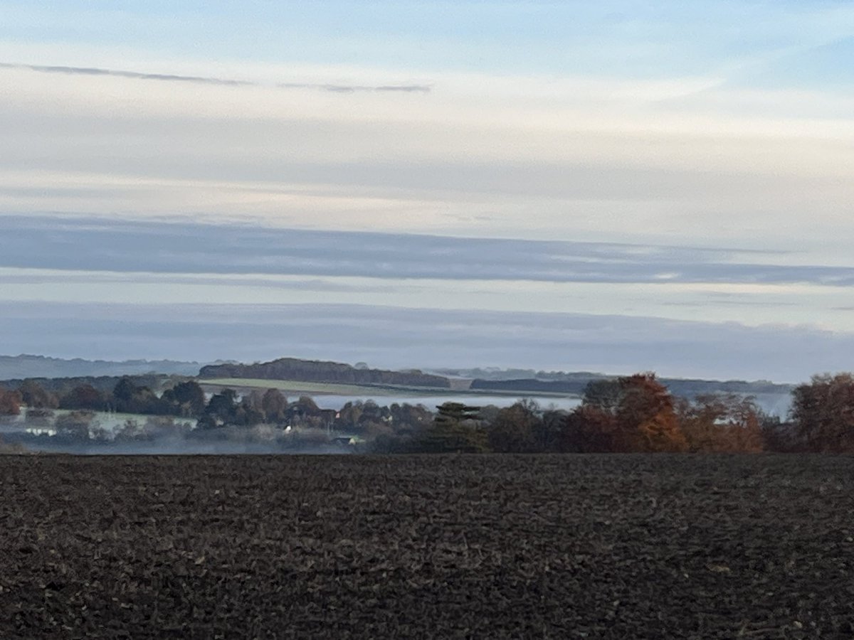 Laura Lerwill tweet media