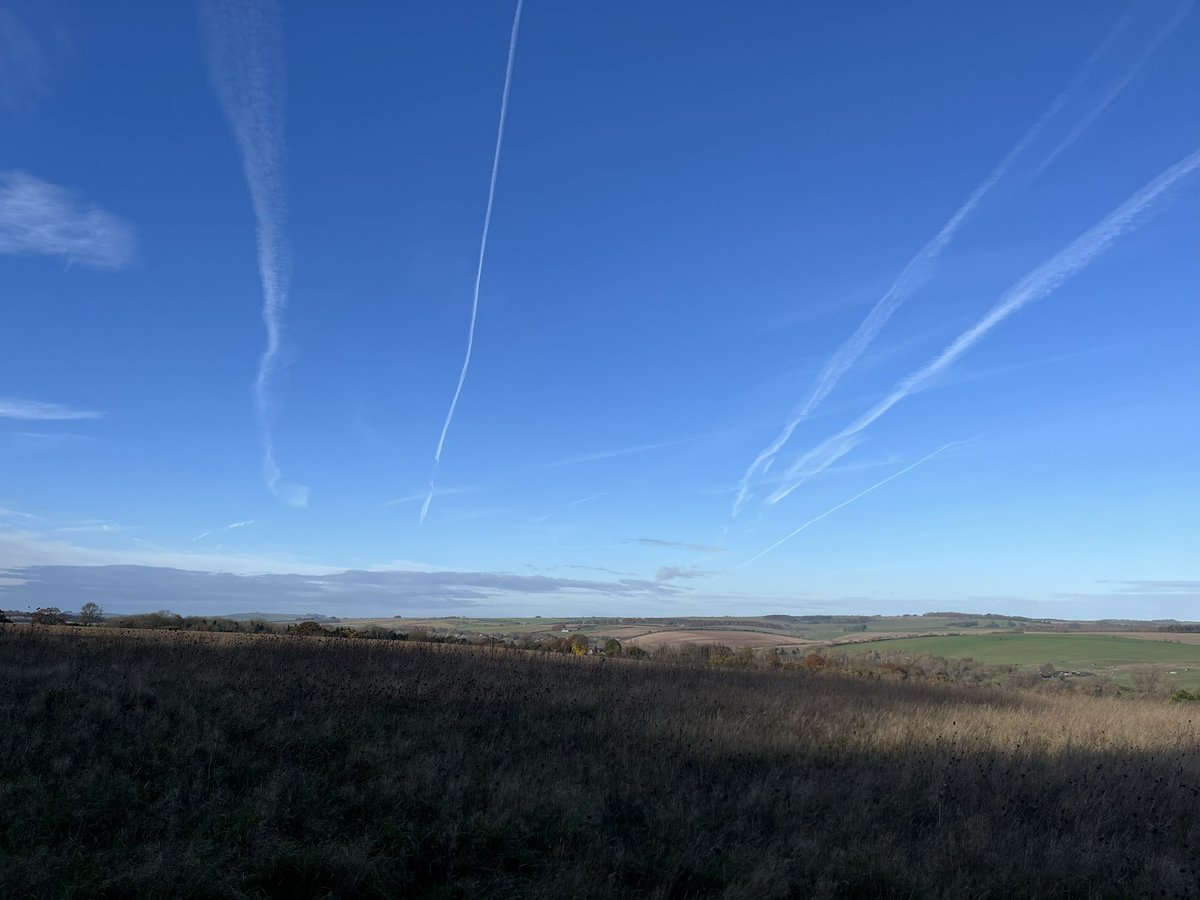 Laura Lerwill tweet media