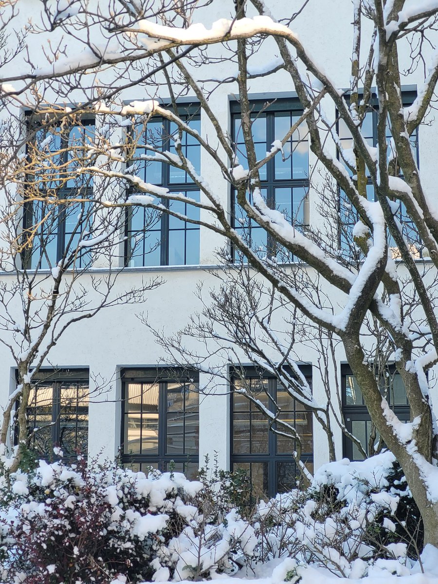 Good morning from a snow-covered campus! Wishing you a great start to the weekend. ❄️

#university #campus #munich #wintervibes

📷 E.Totoeva