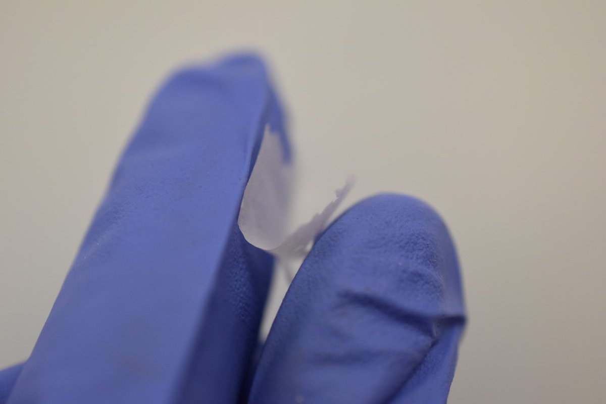 UCL News (@uclnews) on Twitter photo Chemists including <a href="/ChemistClancy/">Dr Adam J Clancy</a> and <a href="/grwUCL/">Gareth Williams</a> have created the world's thinnest spaghetti, 200 times thinner than a human hair. It is not intended as food but as an eco-friendly nanofiber that could be used in smart bandages and to help bone regeneration ucl.ac.uk/news/2024/nov/… Chemists including <a href="/ChemistClancy/">Dr Adam J Clancy</a> and <a href="/grwUCL/">Gareth Williams</a> have created the world's thinnest spaghetti, 200 times thinner than a human hair. It is not intended as food but as an eco-friendly nanofiber that could be used in smart bandages and to help bone regeneration ucl.ac.uk/news/2024/nov/…