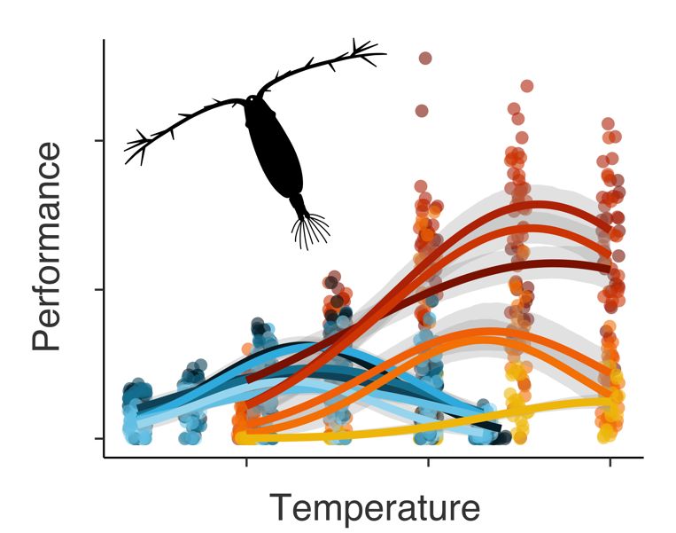 A new study has shown that seasonal variation in thermal performance (or the lack thereof) can influence how vulnerable populations are to heatwaves.🔥 @Matt_Sasaki 
Read the paper here: buff.ly/3UX1Dki