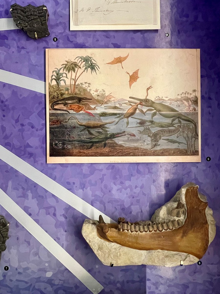 A new episode of Science on the Radio with Nina Morgan, featuring Museum research associate Peter Lincoln, discussing our new temporary exhibit, Breaking Ground. You can listen to the episode here!

wrfm.co.uk/on-air/podcast…