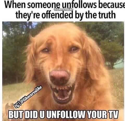 Yoana Vega tweet media