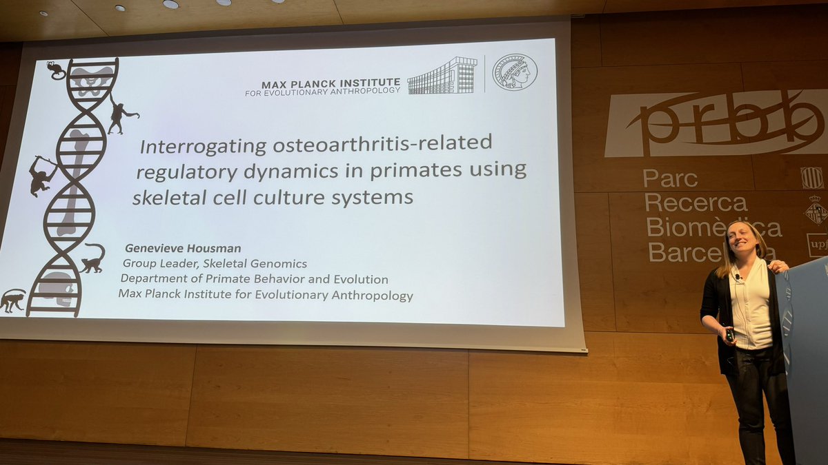 Contributed talk of the “Evolution of aging” session by Genevieve Housman (<a href="/gahousman/">Genevieve Housman</a>) from <a href="/MPI_EVA_Leipzig/">MPI-EVA Leipzig</a> interrogating osteoarthritis-related regulatory dynamics in primates using skeletal cell culture systems.