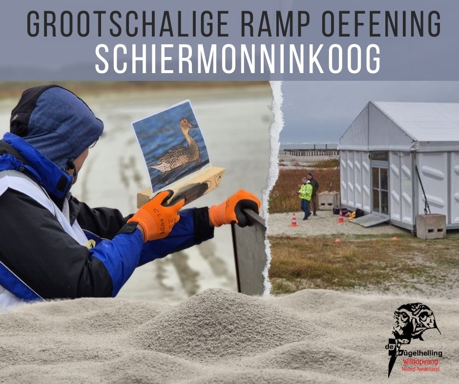 #Grootschalige #oefening ter voorbereiding op (olie)#rampen op #strand #Schiermonnikoog 
Samen met #Rijkswaterstaat #Seaalarm
#SONRespons en #VeiligheidsregioFryslân  heeft de #Fûgelhelling bijgedragen aan deze grote oefening. #olieramp #olieslachtoffers #hulp #natuur #wildlife