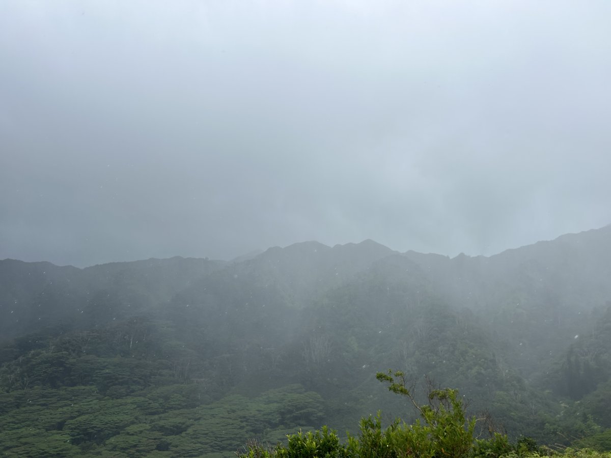 It’s currently the month of Welehu (Nov. 2–Dec. 1, 2024), the first month of Hoʻoilo (the wet season). During this time, Makahiki, the four-month-long festival dedicated to the god Lono, has begun. ʻŌpelu and akule fishing take place, and Makaliʻi is visible in the night sky.