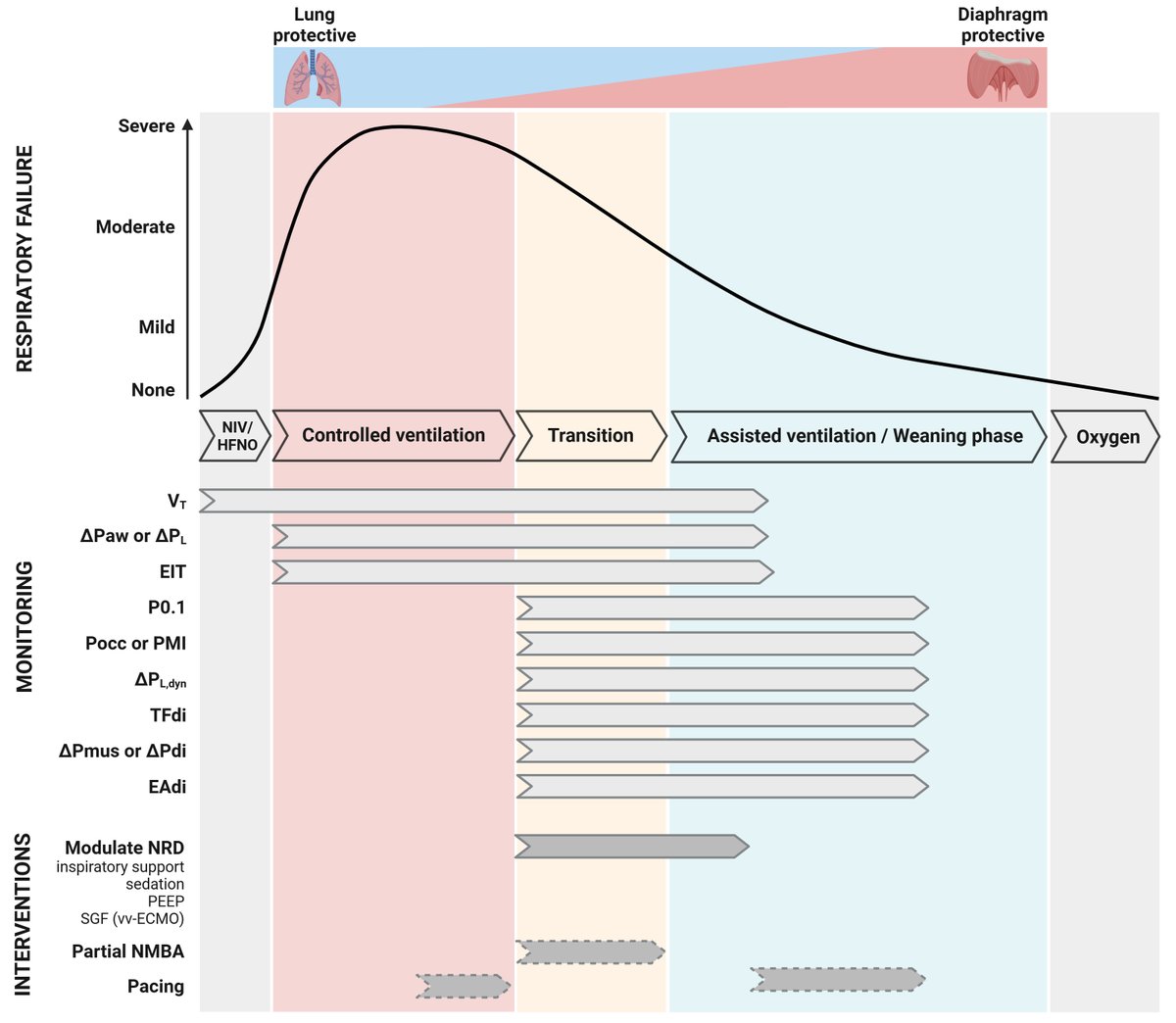 Jonne Doorduin (@drjonnedoorduin) on Twitter photo How do you minimize the detrimental effects of mechanical ventilation on the #lung and #diaphragm?
Check out our latest #OpenAccess opinion article, I wrote together with Maarten van den Berg and <a href="/DrLeoHeunks/">Leo Heunks</a>.
👉journals.lww.com/co-criticalcar… 👈 How do you minimize the detrimental effects of mechanical ventilation on the #lung and #diaphragm?
Check out our latest #OpenAccess opinion article, I wrote together with Maarten van den Berg and <a href="/DrLeoHeunks/">Leo Heunks</a>.
👉journals.lww.com/co-criticalcar… 👈