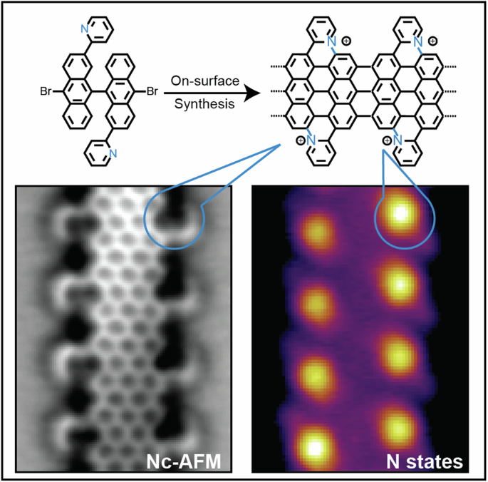 Discover the on-surface synthesis of pyridine-extended graphene nanoribbons involving highly selective C-N bond formation! 💡 Our study sheds light on tailoring electronic properties via substitutional nitrogen doping. rdcu.be/d07h8
<a href="/Empa_CH/">Empa</a> <a href="/NanotechSurfLab/">nanotech@surfaces Lab</a>
