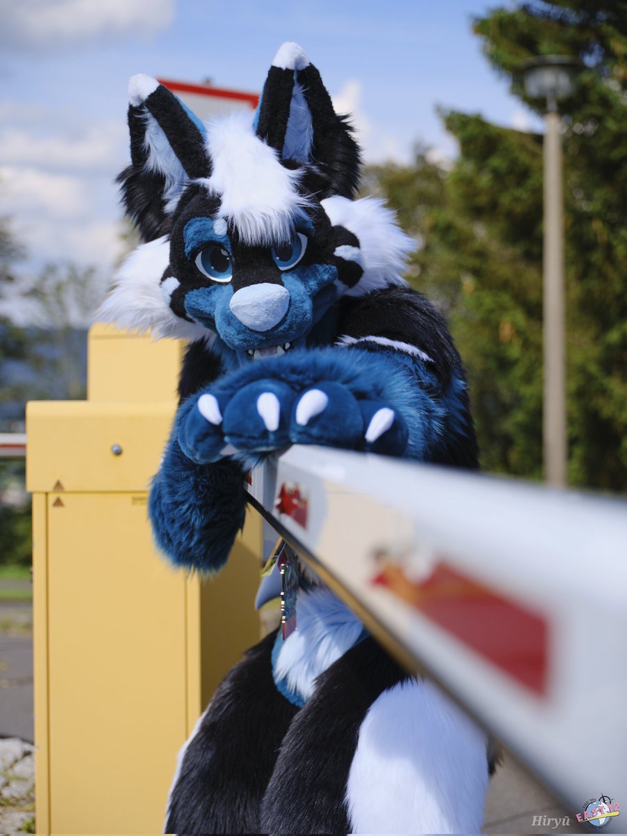 #SchrankenPose ?

📸 <a href="/HiryuTheDragon/">Hiryū</a>