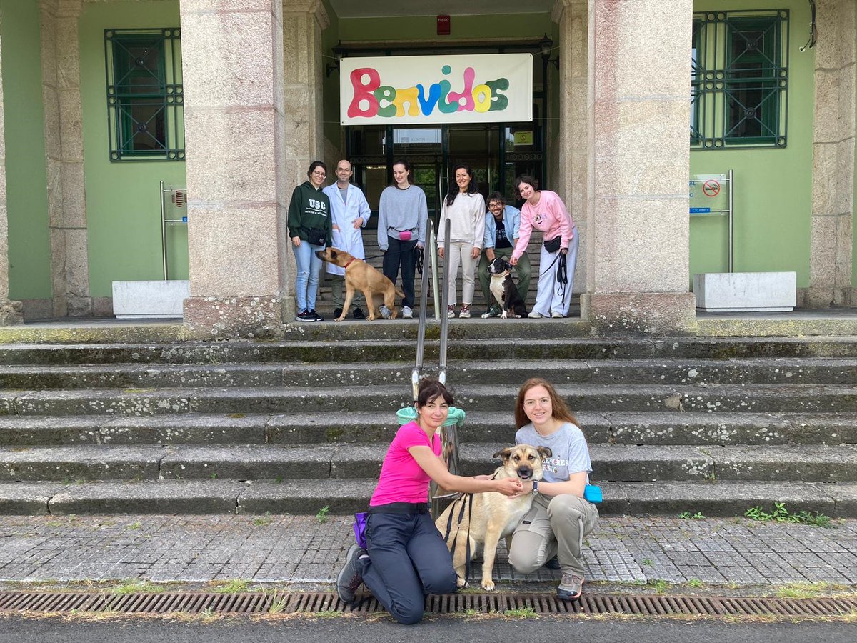 👩‍🔬🐶 A @USCEnfermariaLu e a Facultade de Veterinaria desenvolven no Hospital de rehabilitación psiquiátrica de Calde unha intervención con cans para xerar benestar en pacientes con patoloxías psiquiátricas. 

🗞️goo.su/GKm7