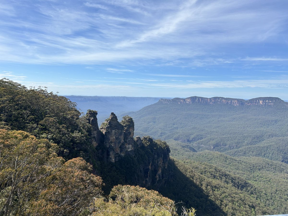 Australia you have been magnificent