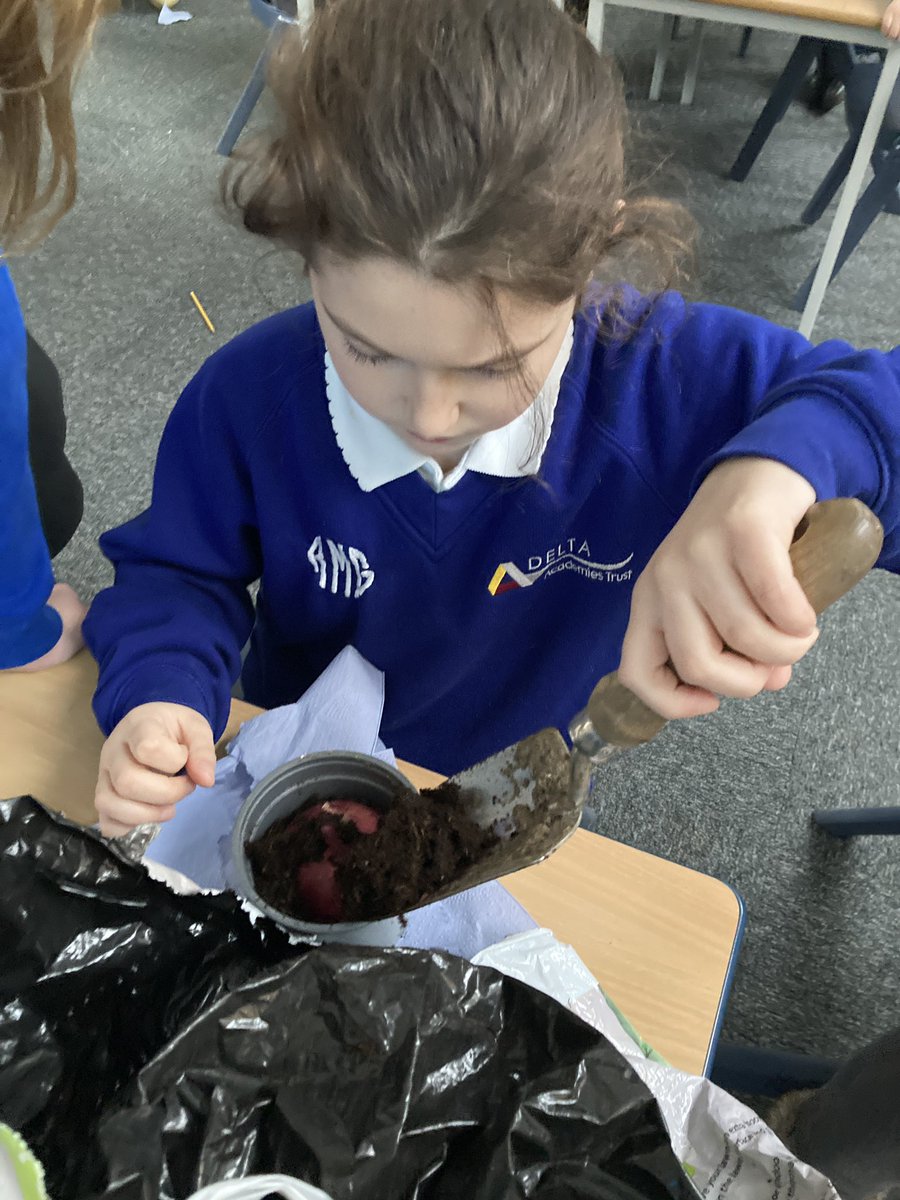 Weelsby Y5LD (@mrd_weelsby) on Twitter photo Yesterday we started 2 scientific enquiriesโฆwe discussed how plants reproduce on their own and how seeds are dispersed ๐บ<a href="/DeltaWeelsby/">Weelsby Academy ๐</a> Yesterday we started 2 scientific enquiriesโฆwe discussed how plants reproduce on their own and how seeds are dispersed ๐บ<a href="/DeltaWeelsby/">Weelsby Academy ๐</a>
